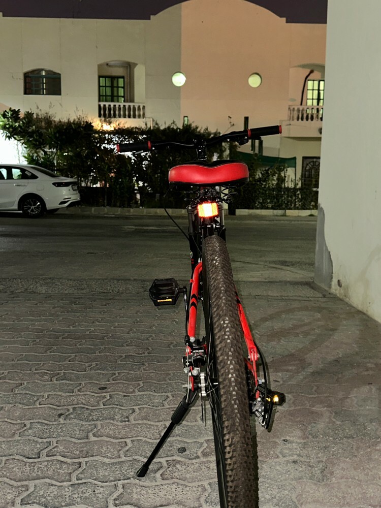 sport bicycle,helmet, pump - 12