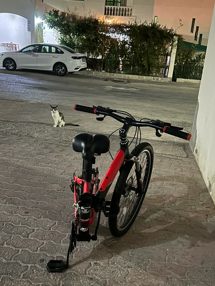 sport bicycle,helmet, pump - 7