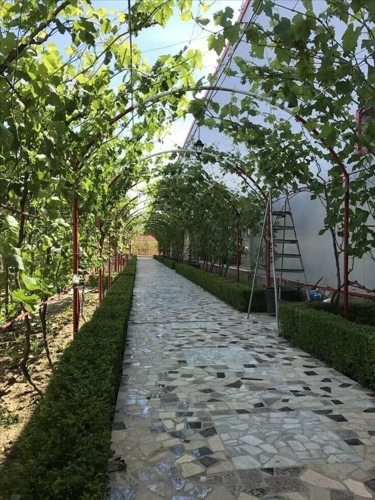 مهندس زراعي - 1