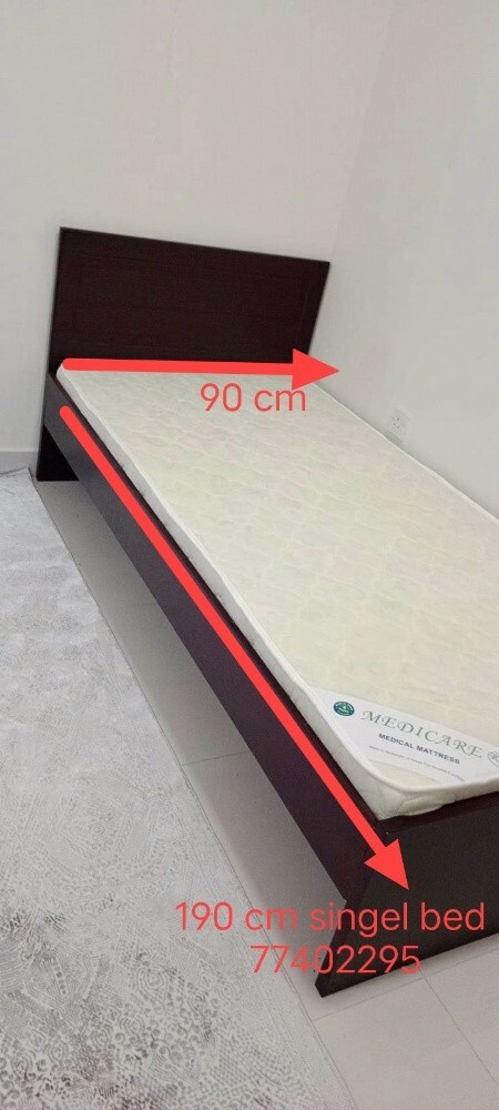 شاهين - 6