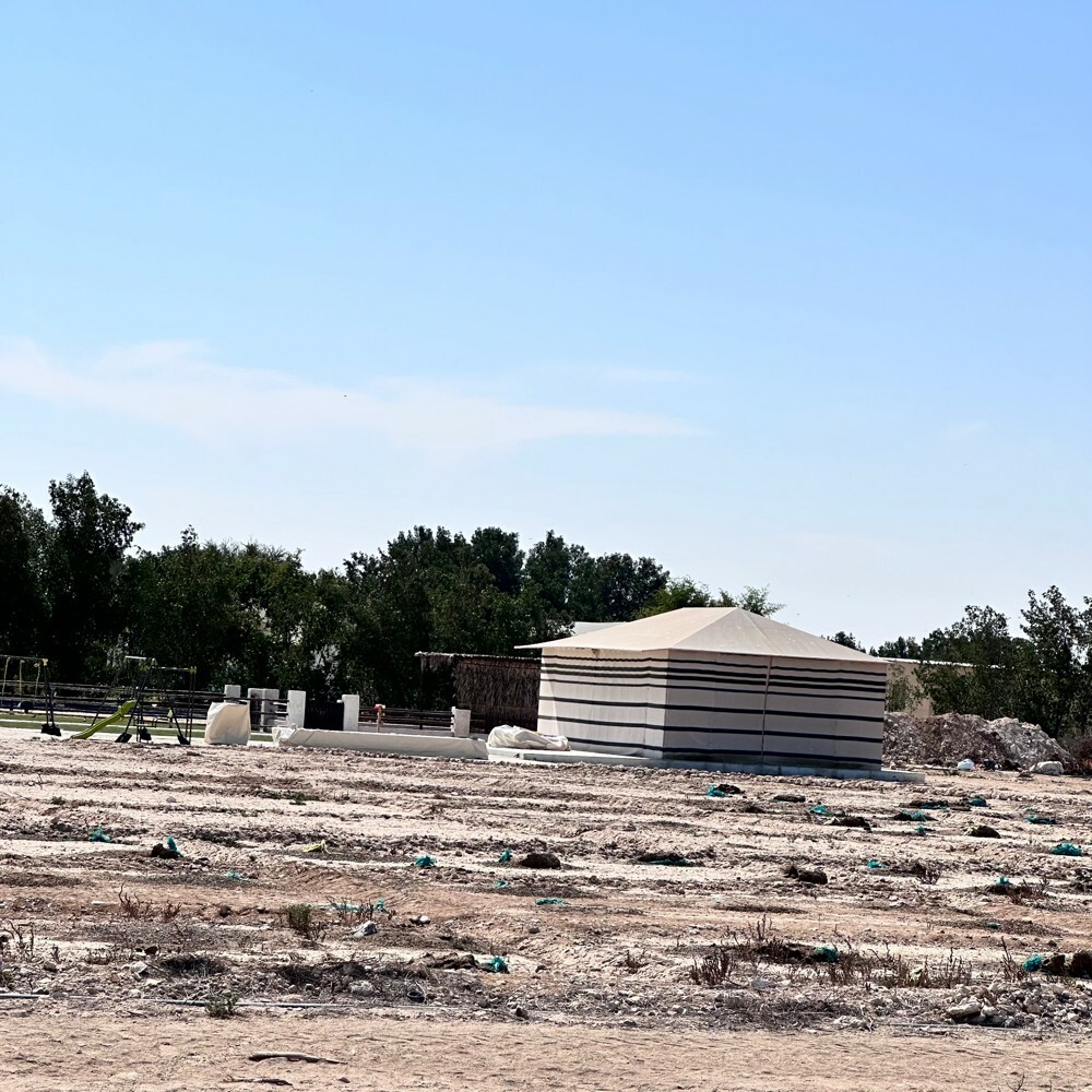 زرع سمسمه 105 الف متر للبيع - 13