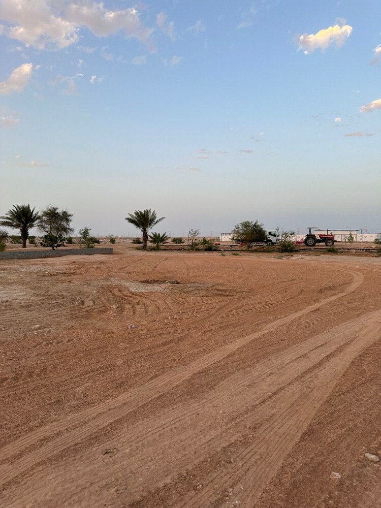 زرع سمسمه 105 الف متر للبيع - 7