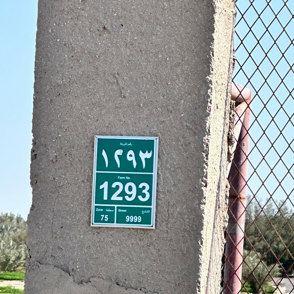 زرع سمسمه 105 الف متر للبيع - 19