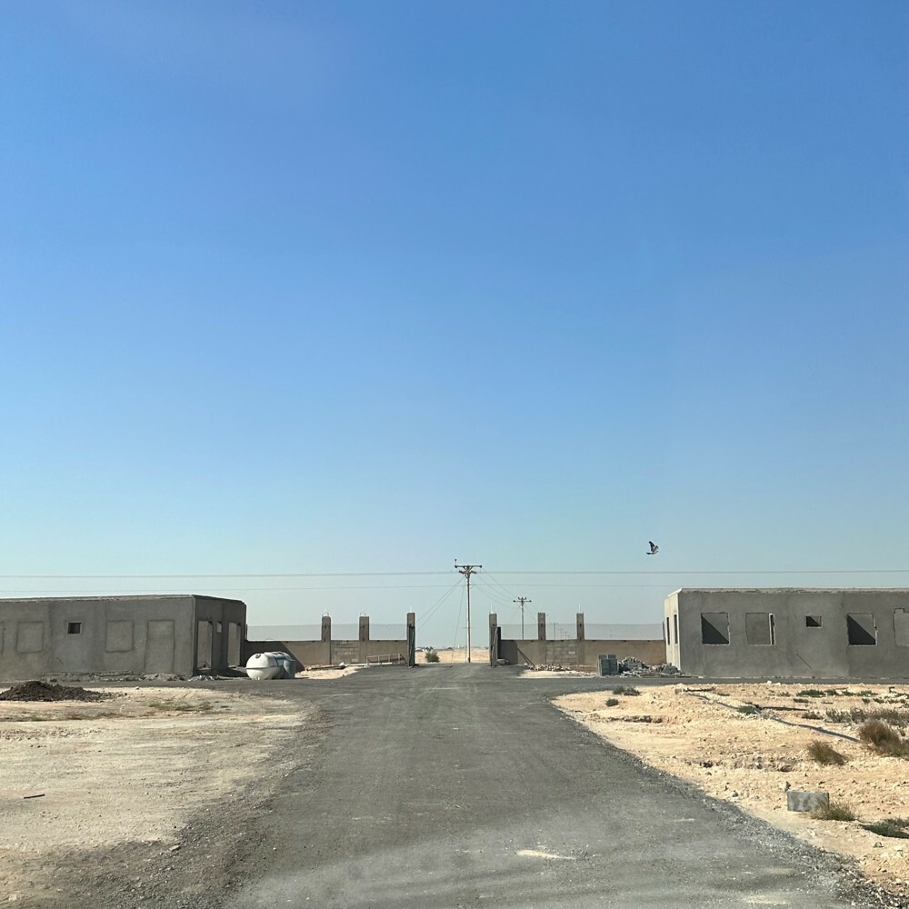زرع سمسمه 105 الف متر للبيع - 18