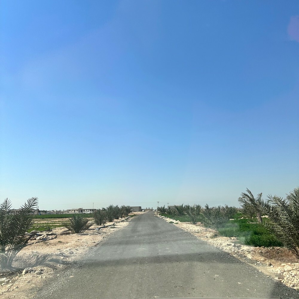 زرع سمسمه 105 الف متر للبيع - 23