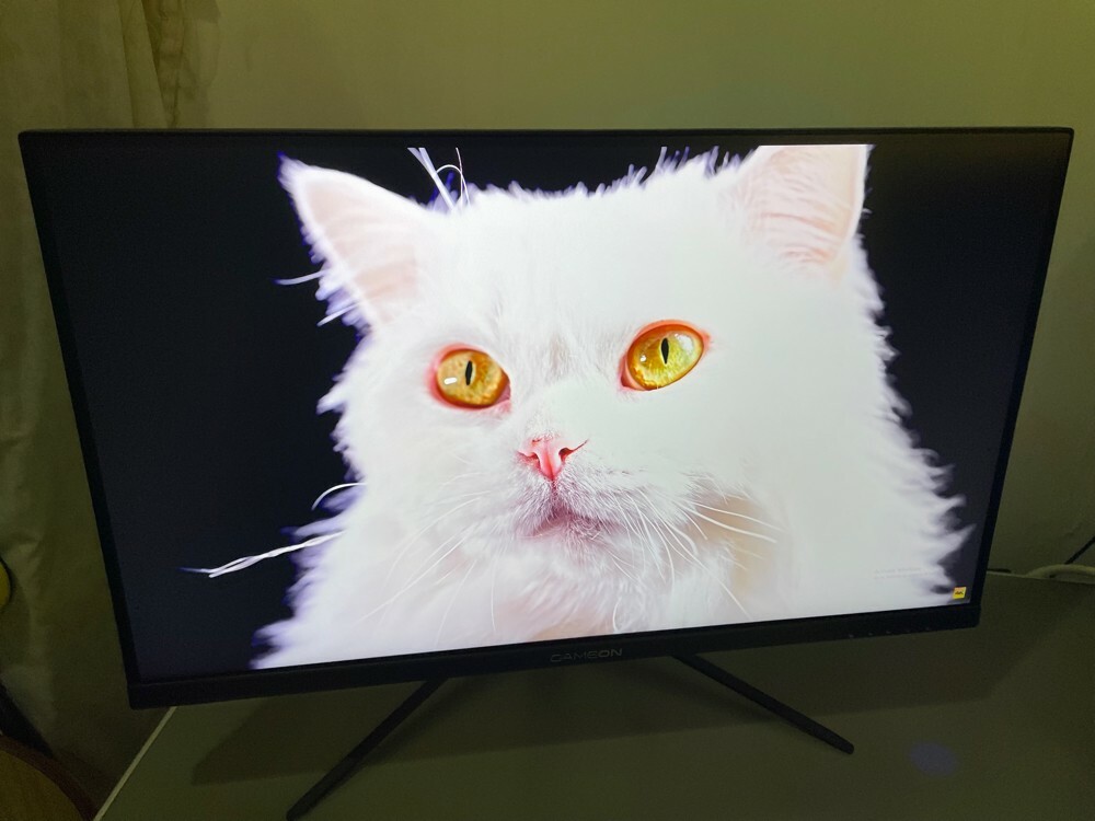 Gameon 27” QHD Gaming Monitor - 6