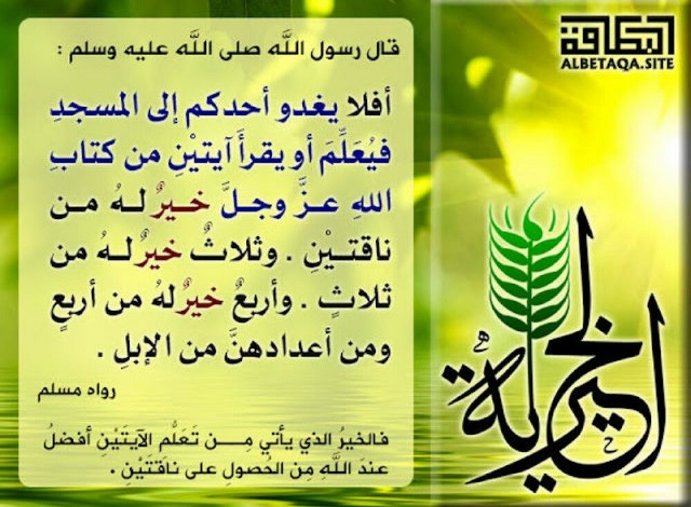 Sharia teacher (all levels founda - 1