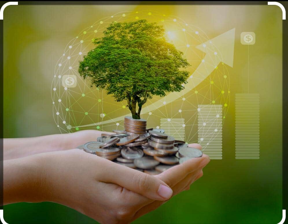 Privet investor  - 1