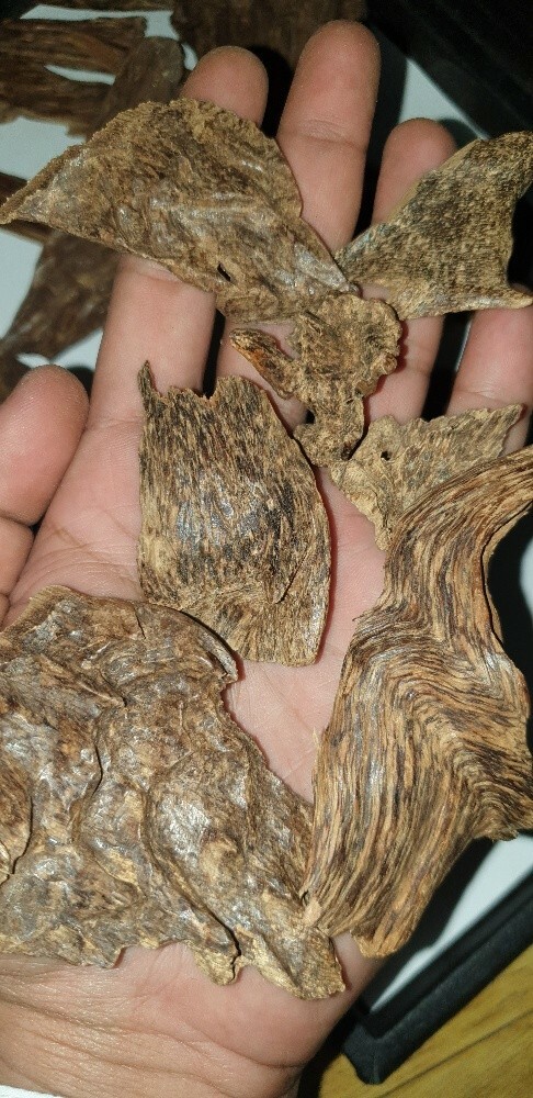 عود بخور - 3