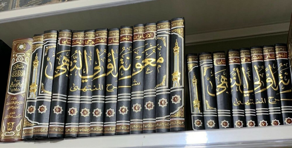 معونة أولي النهى | ١٢ جزء  - 1