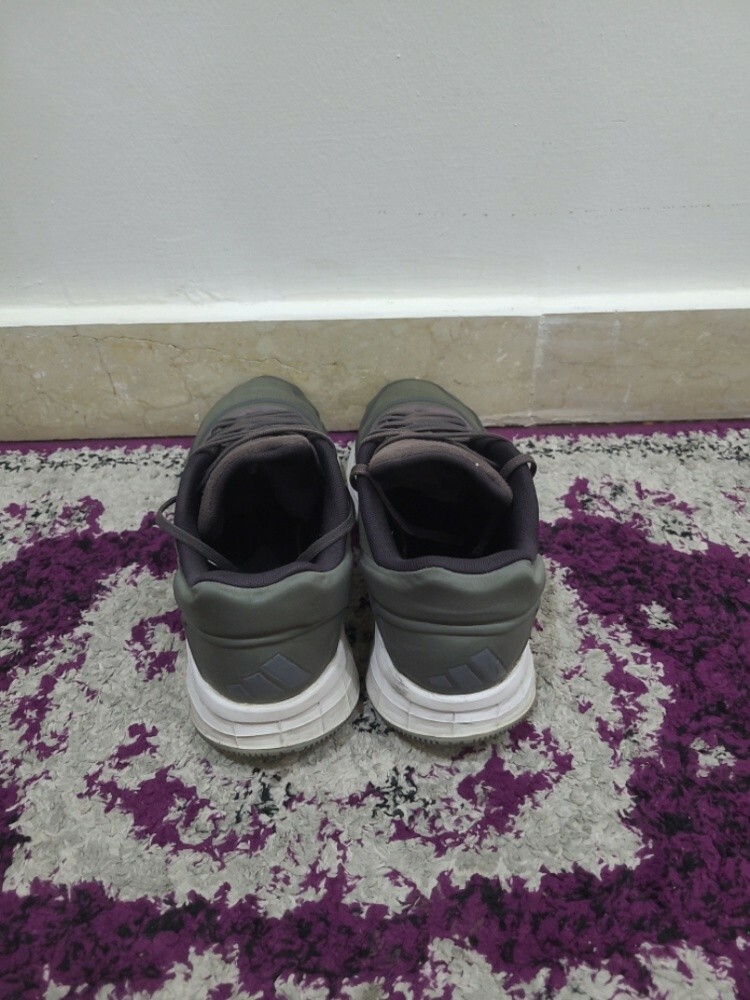 مالك - 3