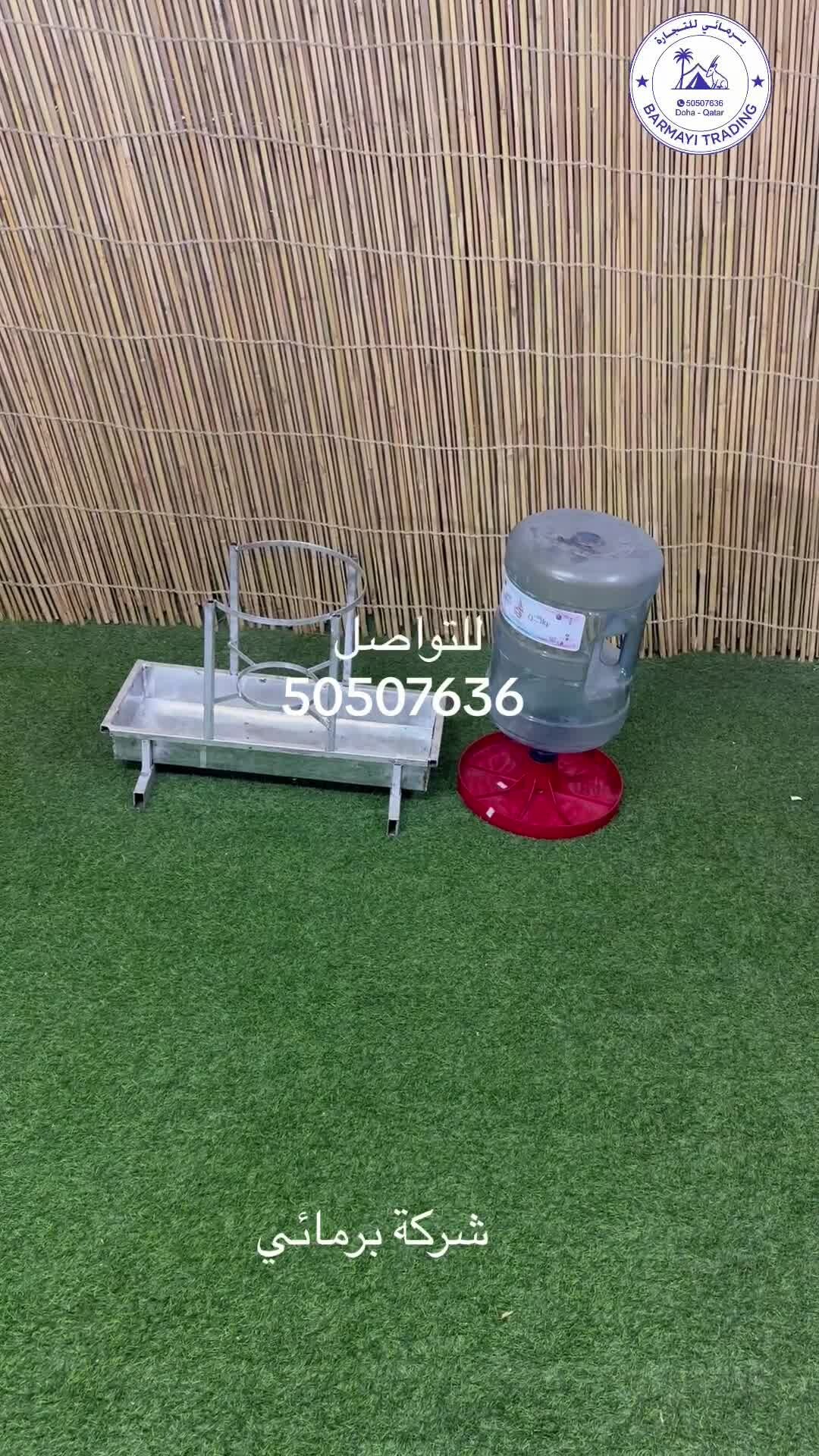 Bird Water Dispensers for Sale - 1