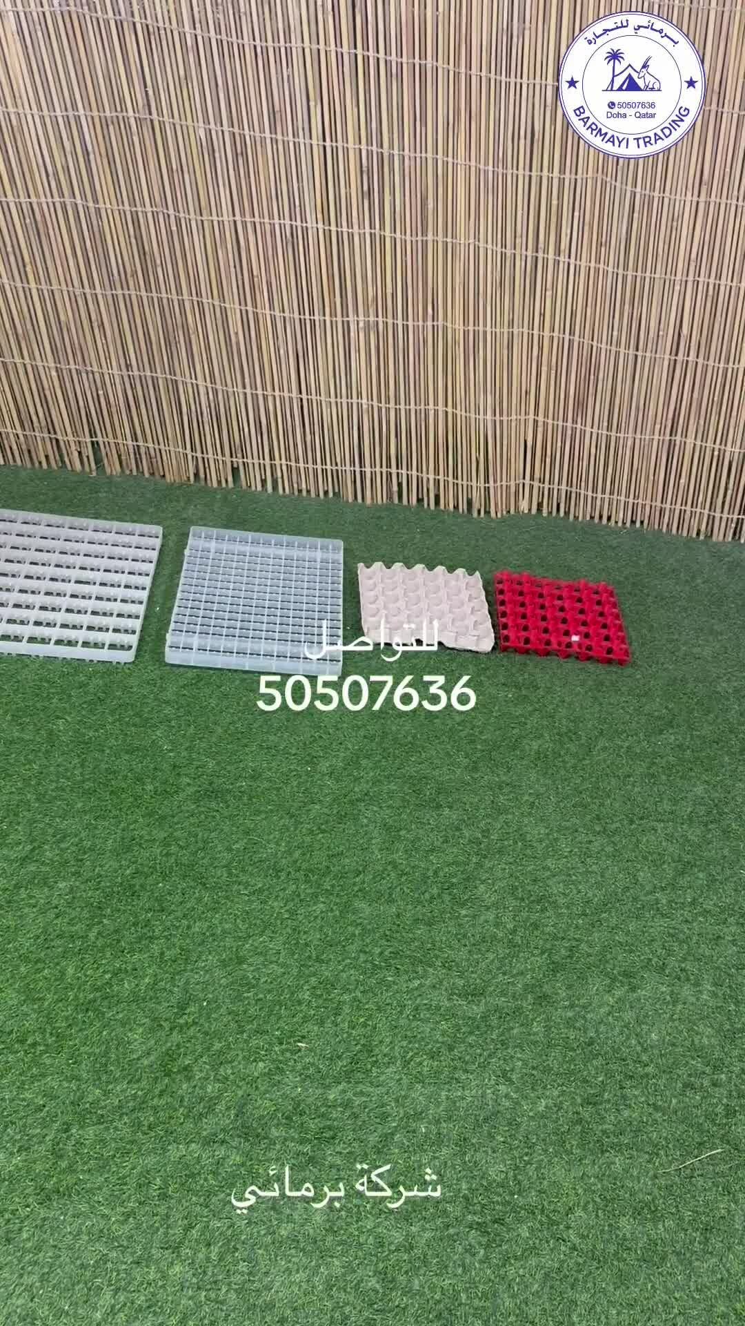 Egg Trays for Sale - 1