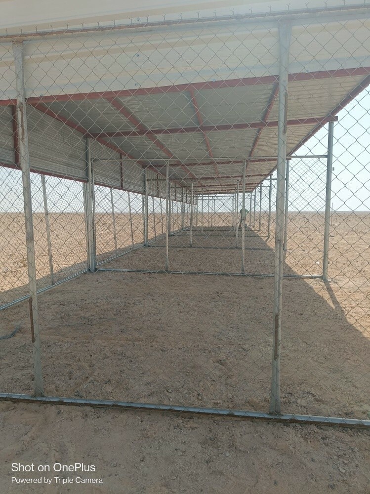 شباكا - 4