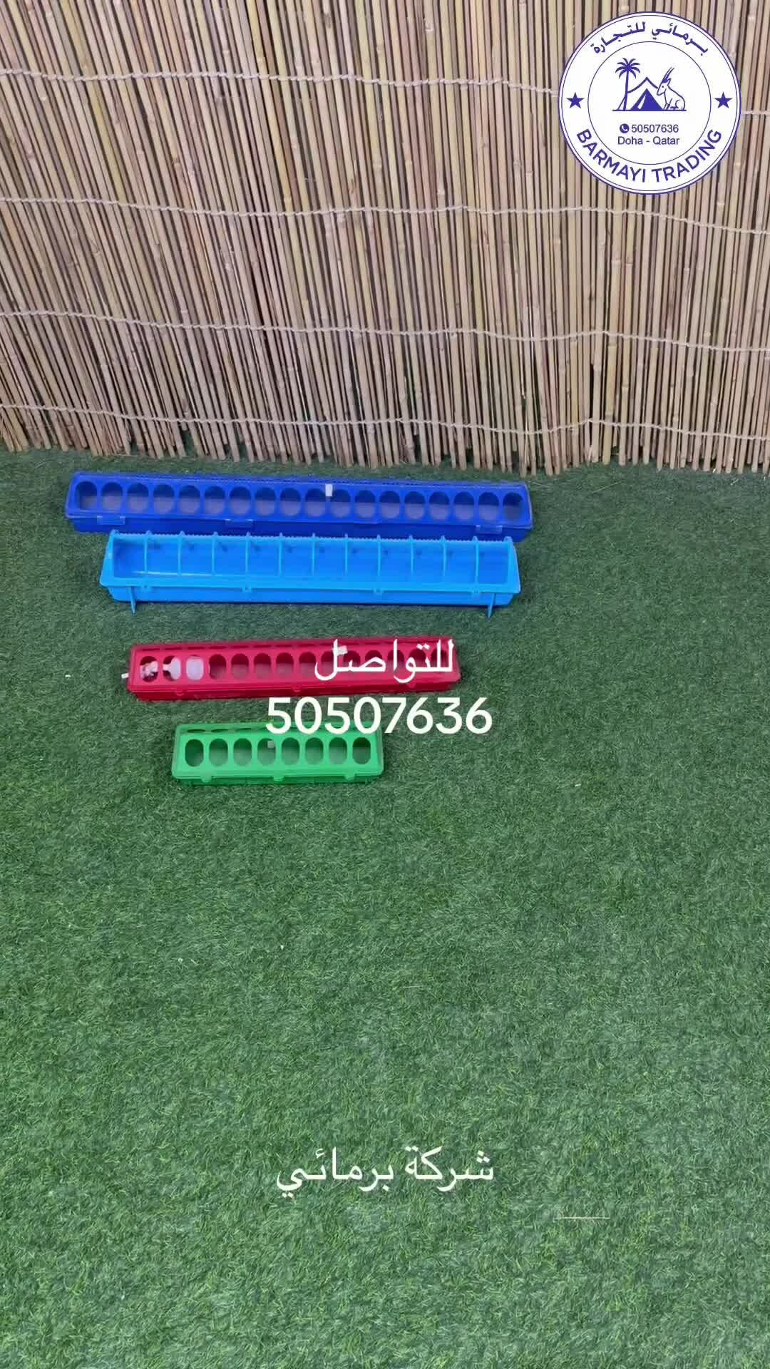 Bird Feeders for Sale - 1
