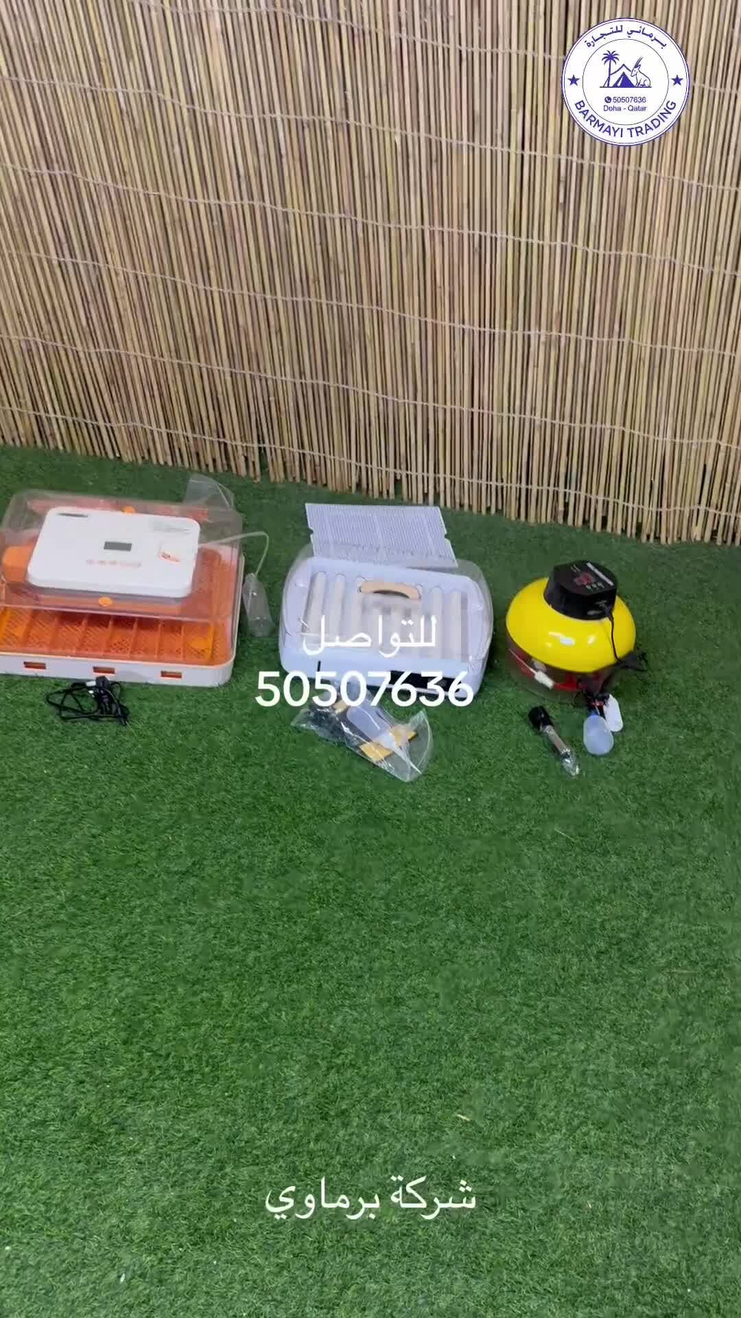 Egg Incubators for sale - 1