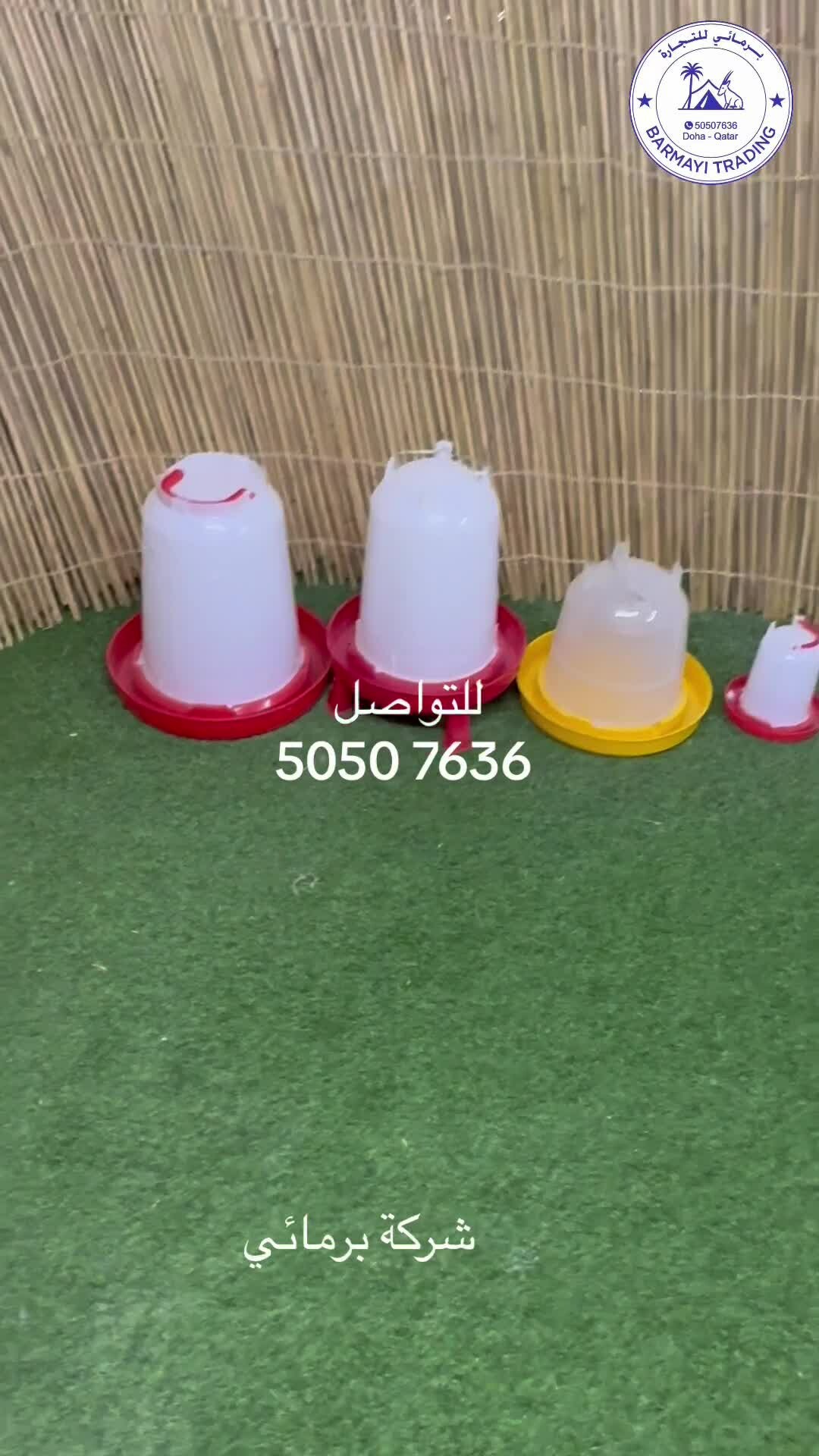 Poultry Water Dispensers - 1