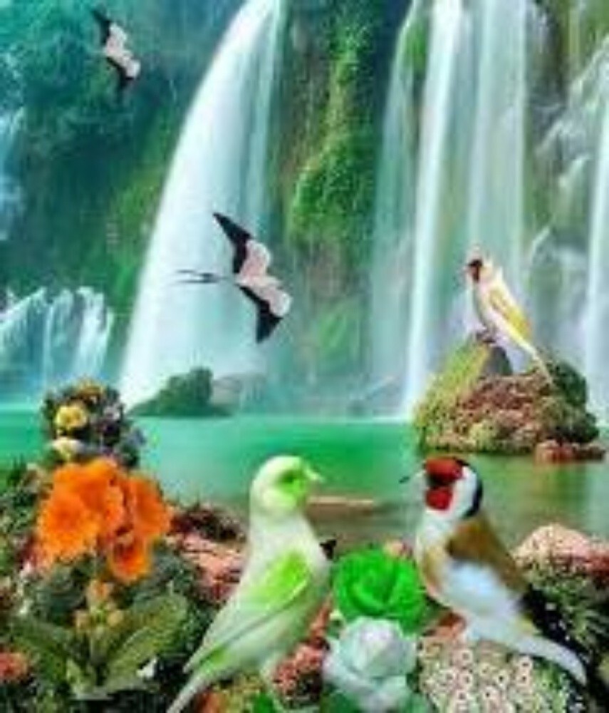 مدرسة دروس خصوصية - 1
