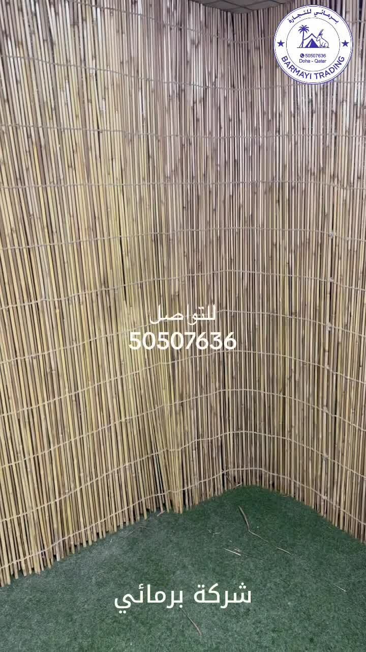 For sale: Bamboo Arish. - 1