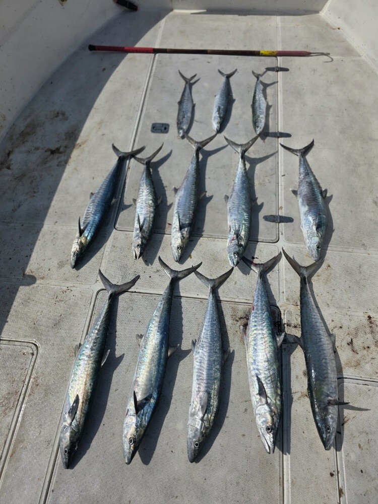 fishing jigging trips - 13
