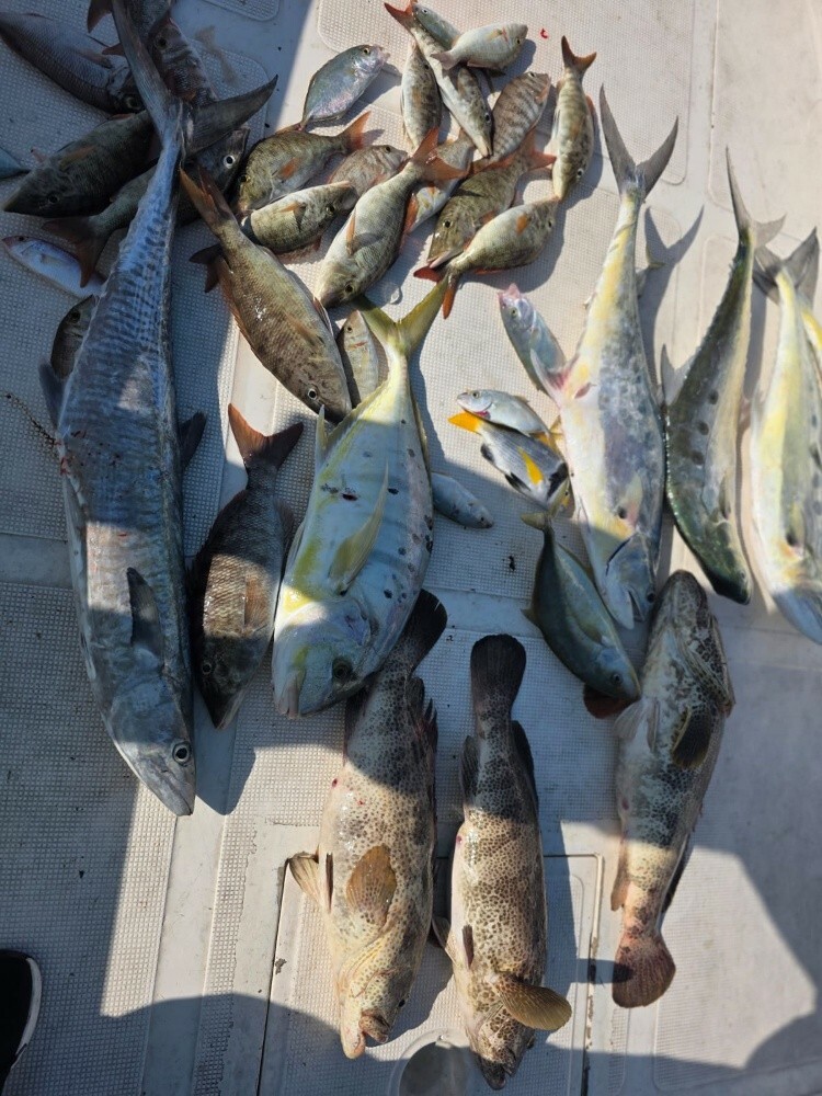 fishing jigging trips - 11