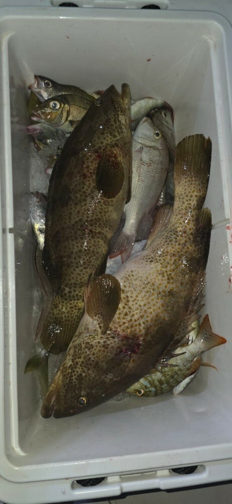 fishing jigging trips - 12