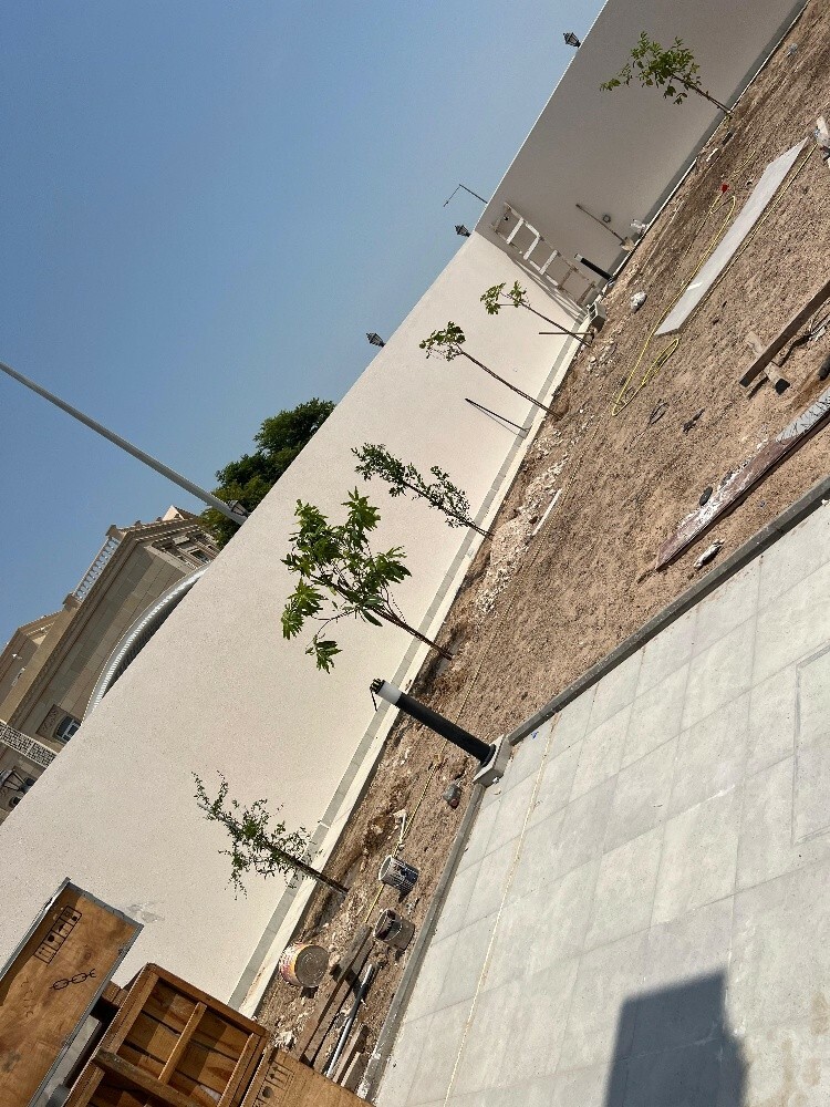 اشجار مثمره - 4