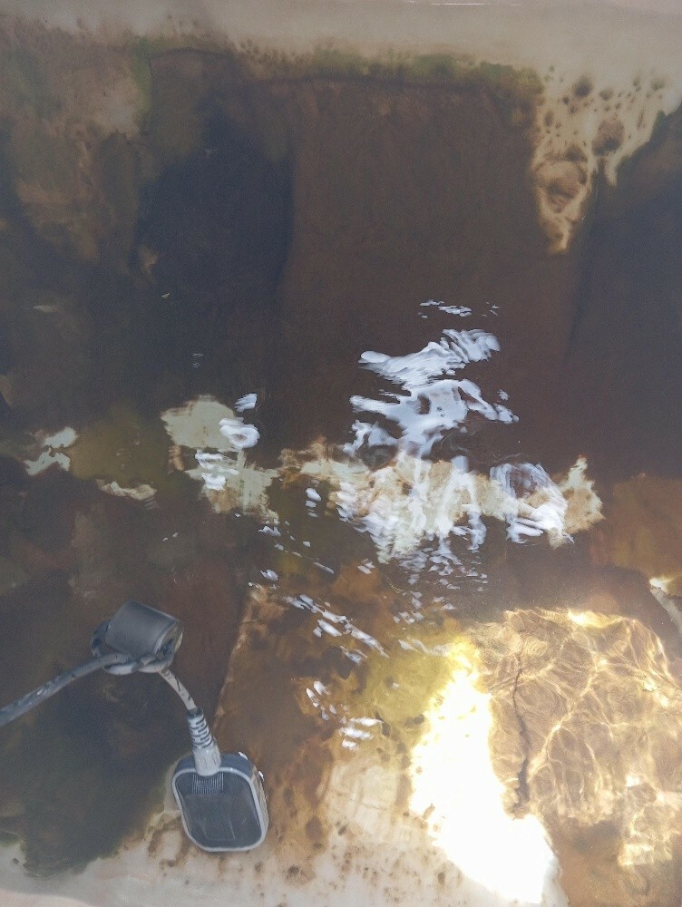تنظيف وتطهير - 4