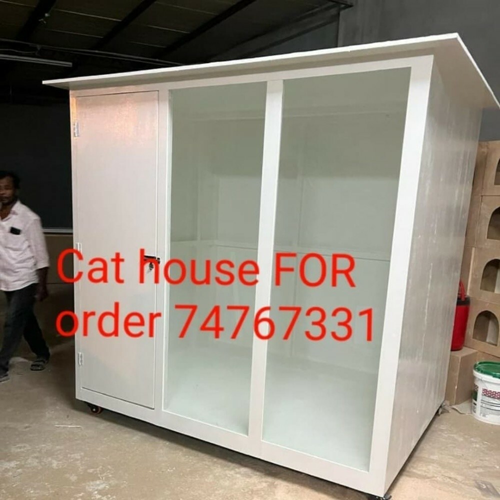 NEW CAT HOUSE - 1