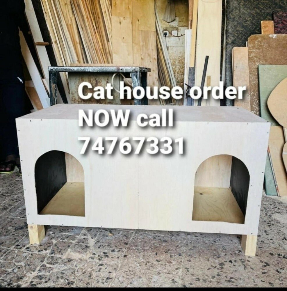 NEW CAT HOUSE - 2