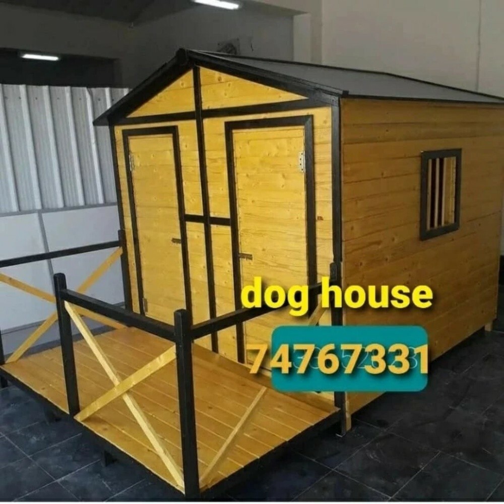 NEW CAT HOUSE - 3