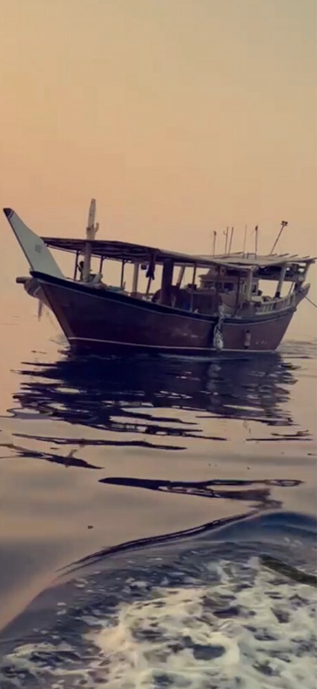 للبيع لنج فيبر - 2