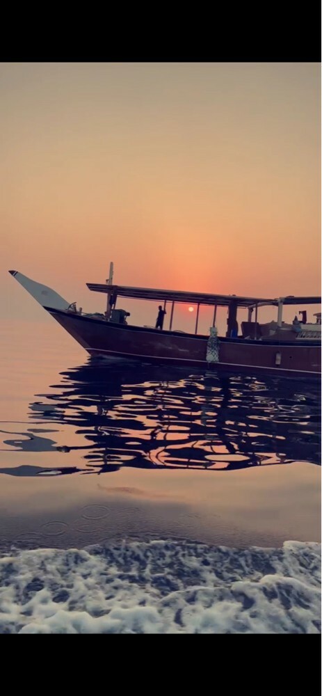 للبيع لنج فيبر - 3