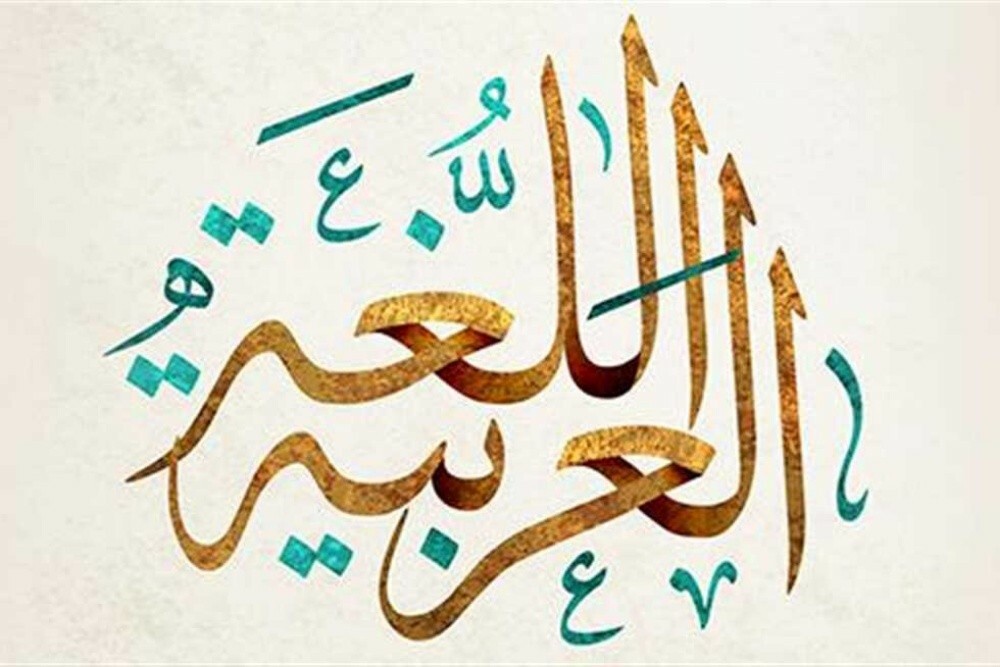 مدرسون لجميع المواد الدراسية - 4