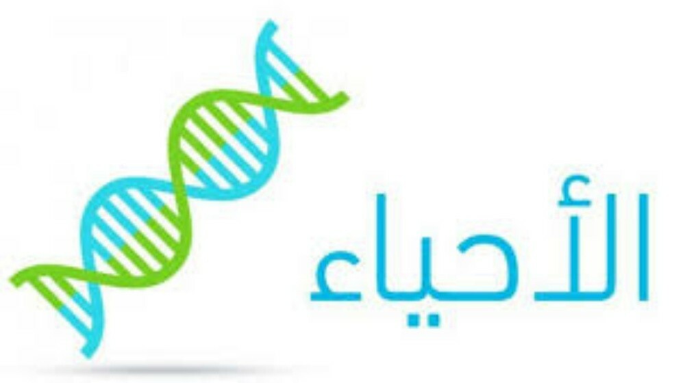 مدرسون لجميع المواد الدراسية - 9