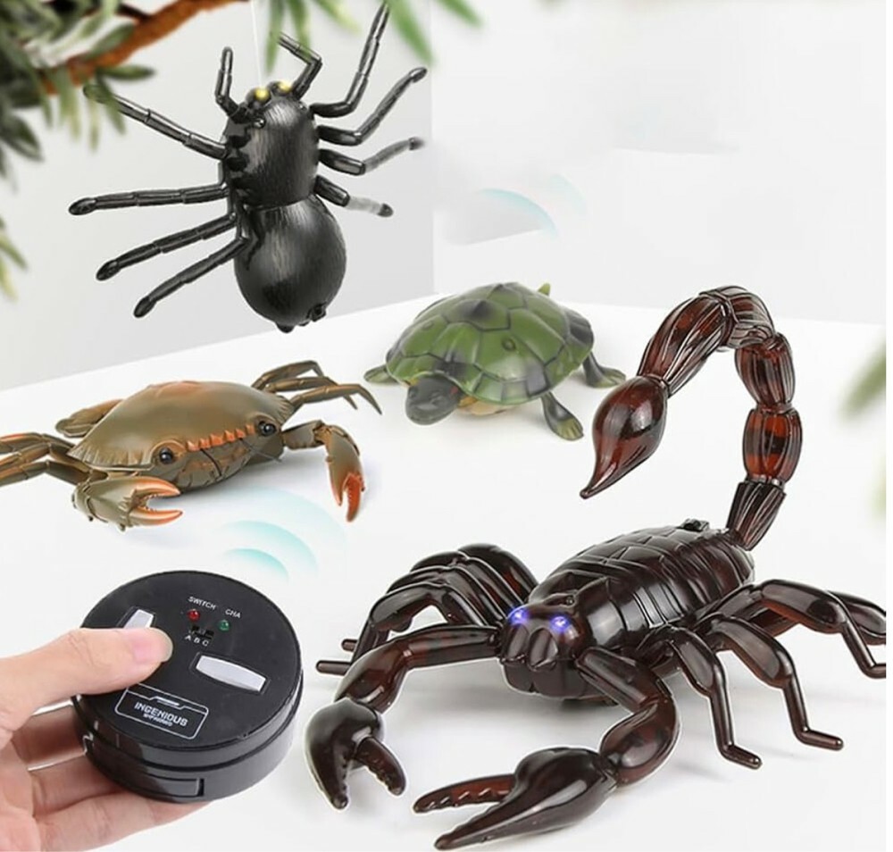 scorbio - 2
