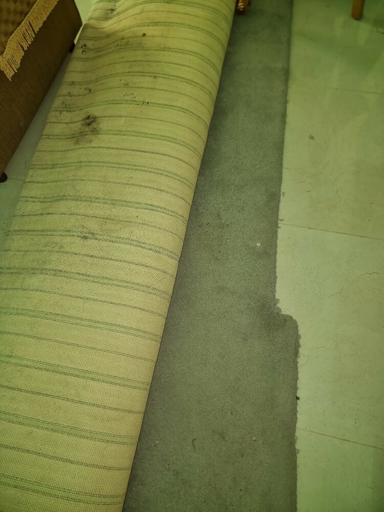 big light grey carpet 4m X 6m - 2