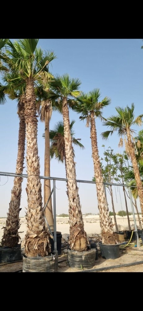 حفر الآبار وتركيب الغطس - 4