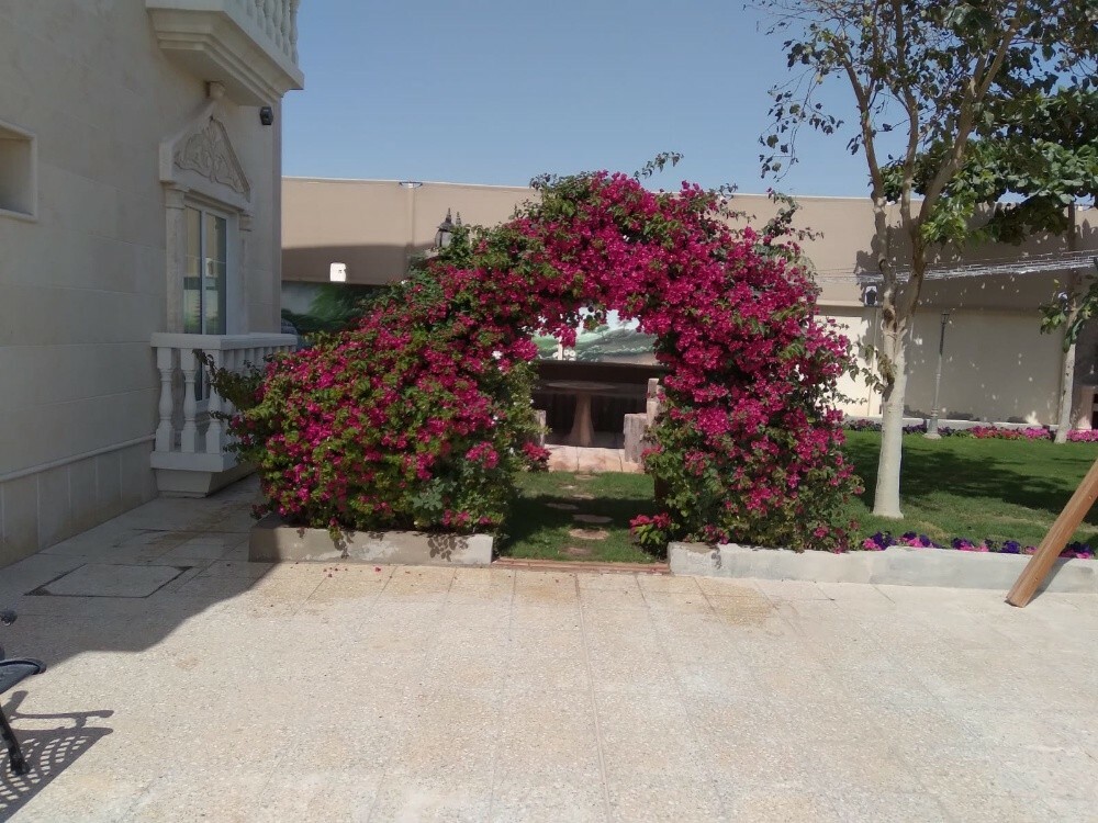 منسق حدائق 55079950 - 16