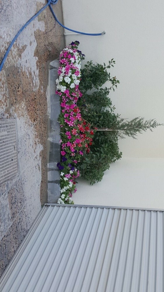 منسق حدائق 55079950 - 10