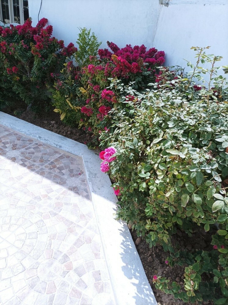 منسق حدائق 55079950 - 8