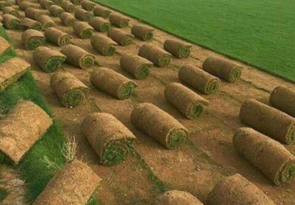 مزارع  55079950 - 9