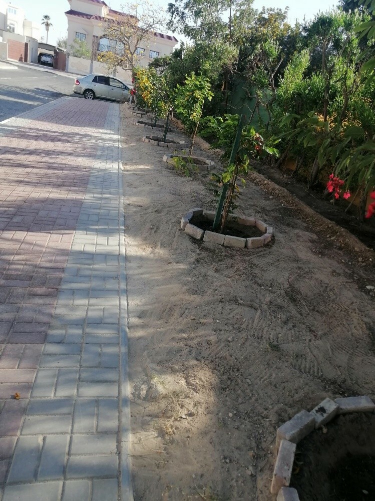 طالب البلوشي - 2