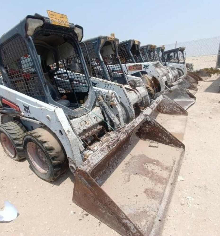 للبيع جميع أنواع وأحجام بوبكات - 4