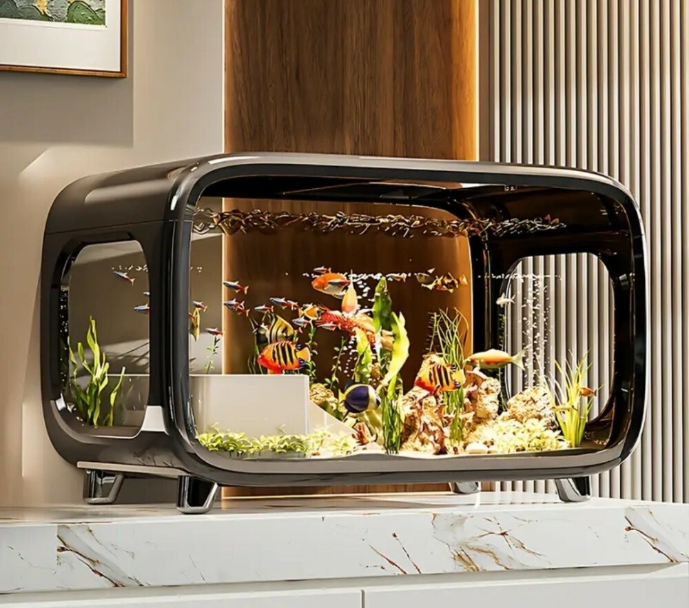 fish tank aquarium desktop - 12