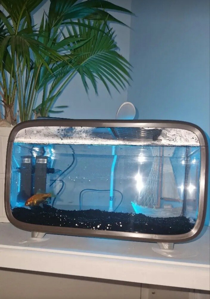fish tank aquarium desktop - 14