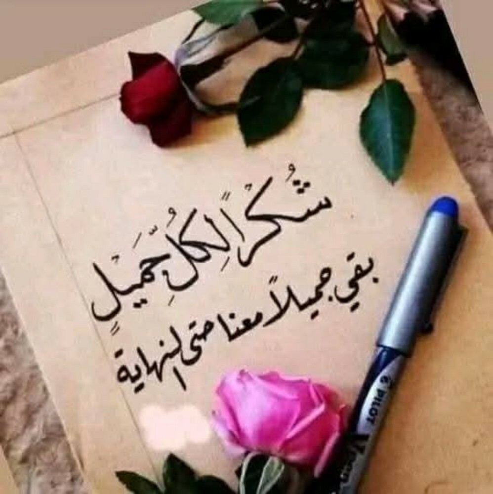 سارة محمد محمود - 1