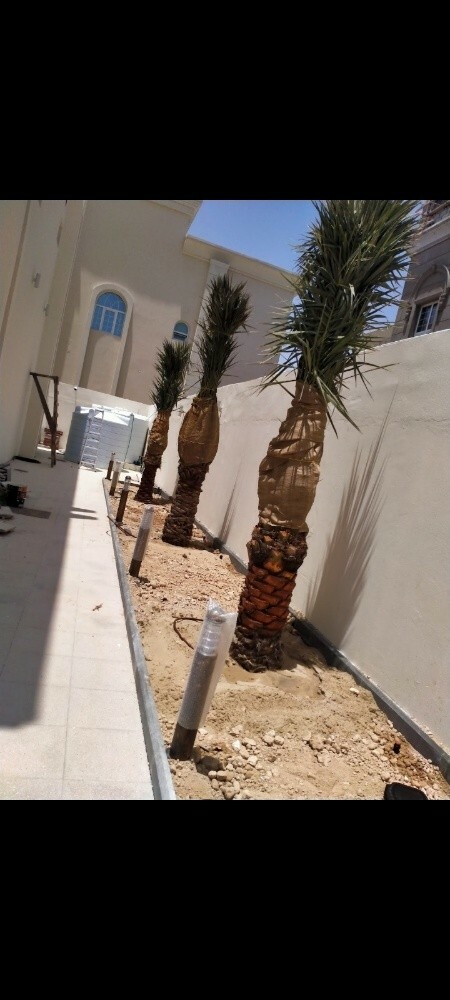 شركة زراعيه - 4