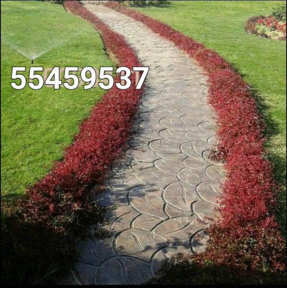 شركة زراعيه - 5