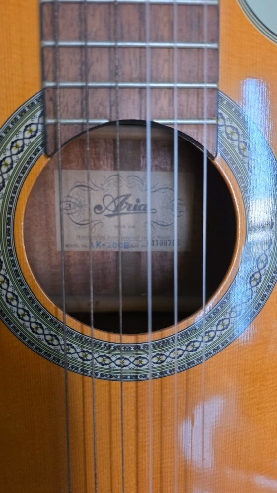 aria electric and classic guitar - 2